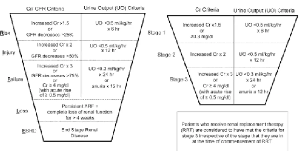 Figure 1  : Les classifications RIFLE et AKIN de l’insuffisance rénale aiguë [38].