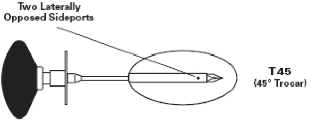 Figure 15 : Aiguille de Dieckmann. 