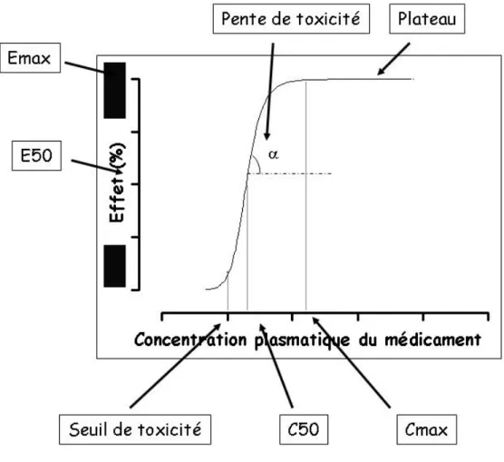 Figure 1 – Modèle sigmoïdal pour les relations pharmacocinétiques – pharmacodynamiques en 