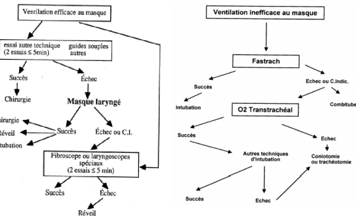 Figure 1: Arbre décisionnel en cas de ventilation  efficace au masque facial. 