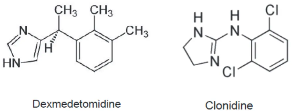 Figure 1. Structures de la dexmedetomidine et de la clonidine. 
