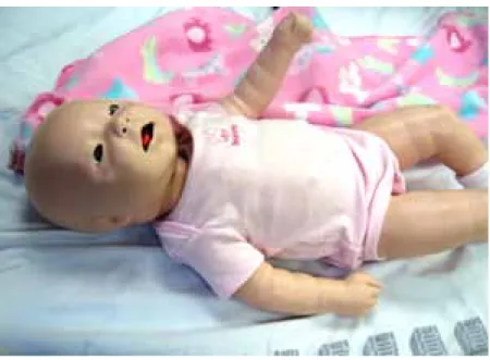 Figure 1  : BabySIM® (METI)