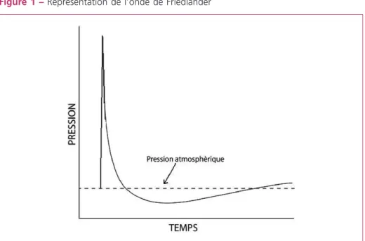 Figure 2 –  Représentation d’une succession d’ondes complexes typiques d’une propagation en milieu liquidien