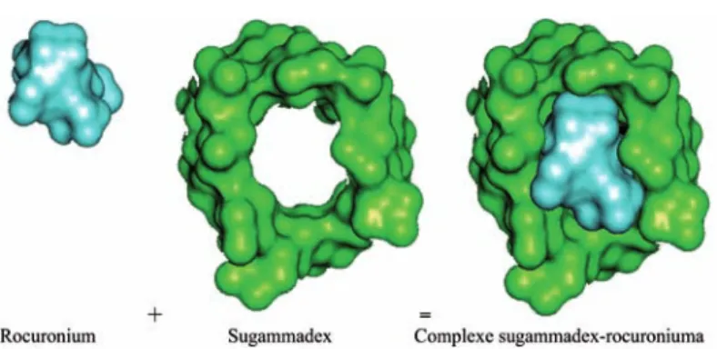 Figure 1.  Schéma de l’encapsulation [7].