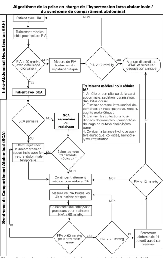 Figure 3 :  Algorithme de l’hypertension intra-abdominale (adaptée de [19] Algorithme de la prise en charge de l’hypertension intra-abdominale /  