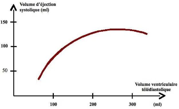 Figure 4.2 : Relation entre volume d’éjection systolique (en ordonnée) et volume télédiastolique (en abscisse)