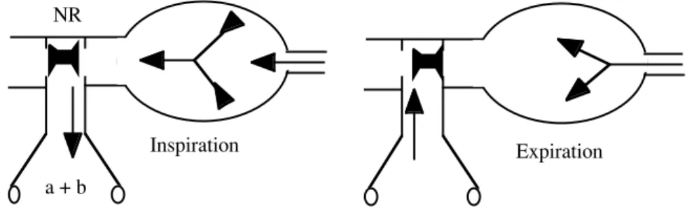 Figure 2 : Circuit sans réinhalation
