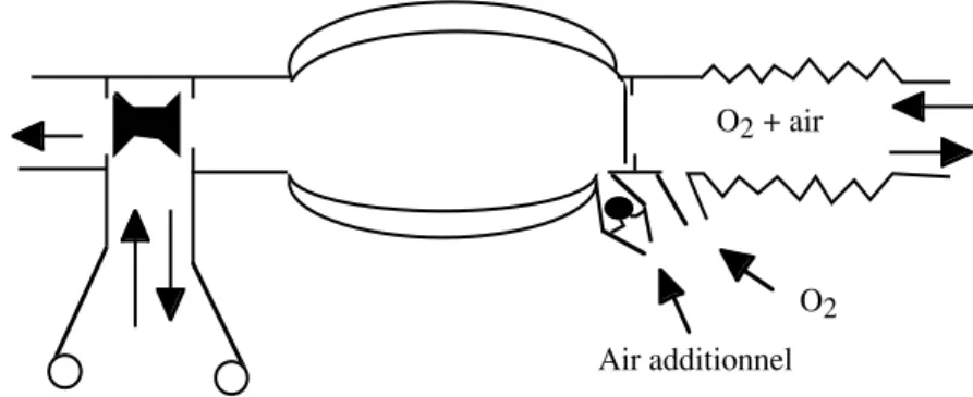 Figure 4 : Valve d’Ambu