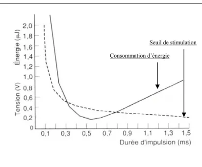 Figure 24 : Courbe de Lapicque et consommation énergétique, d’après Ritter et Fischer [72] 