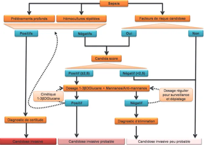 Figure 2.- Proposition d’algorithme de diagnostic des candidoses invasives et de surveillance des patients à 