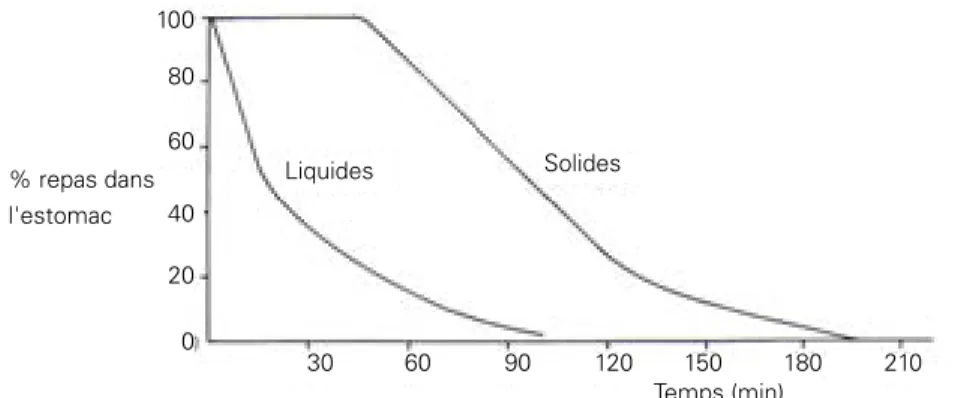 Figure 2  : Profil de la vidange gastrique des solides et des liquides chez un sujet  normal (repas de 270 Kcal, comprenant un sandwich au foie de poulet et 200 ml  d'eau) d'après Houghton et al [9].