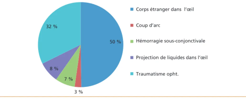 Figure 1 –  Répartition des motifs de venue traumatologiques en ophtalmologie