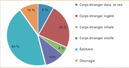 Figure 3 –  Répartition des motifs de venue traumatologiques en ORL du 01/01/09