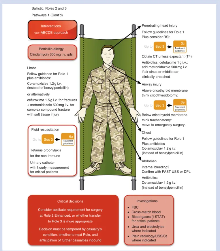 Fig 2 Ballistic trauma pathway: Roles 2 and 3.