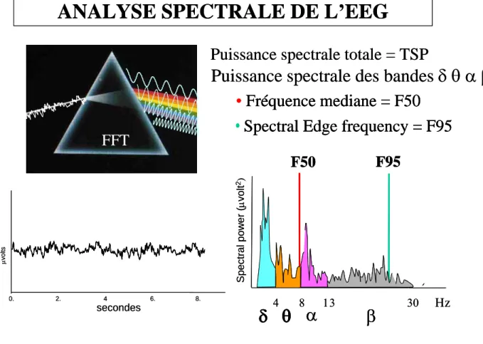 Figure 1.-  Analyse spectrale de l’EEG 