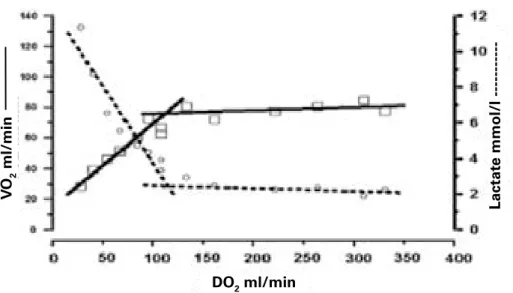 Figure 2 : Evolution de la consommation d’O 2  au décours d’une diminution du 