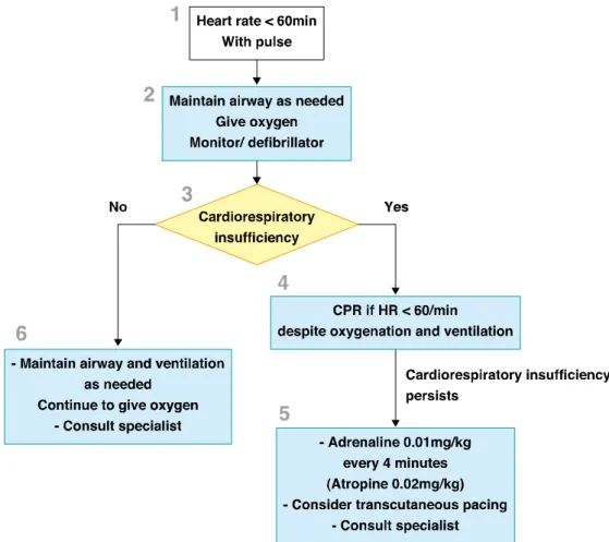 Figure 3    Pediatric bradycardia algorithm 