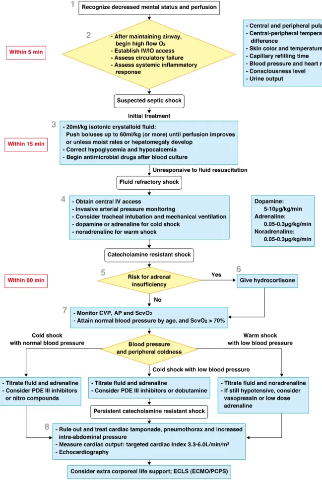 Figure 5    Initial treatment algorithm for pediatric septic shock 