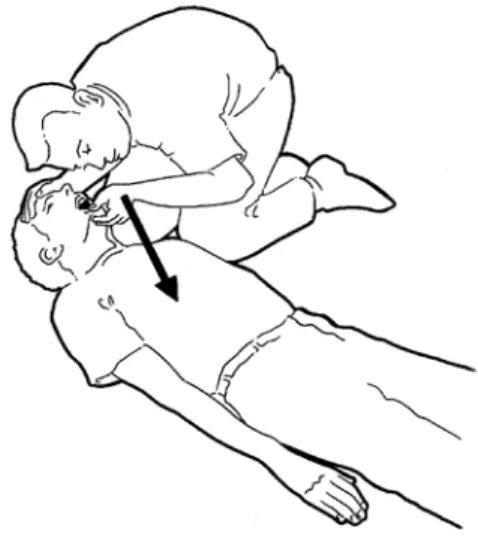 Figure 5.4 : Apprécier la respiration