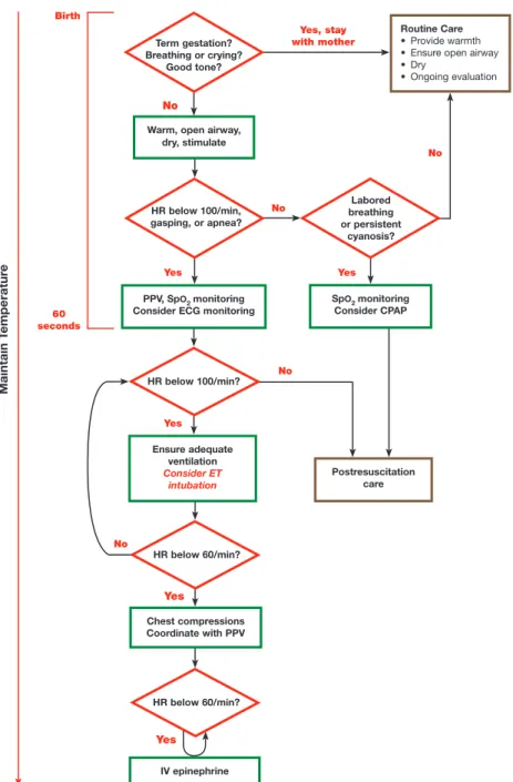 Figure 1. Neonatal Resuscitation Algorithm.
