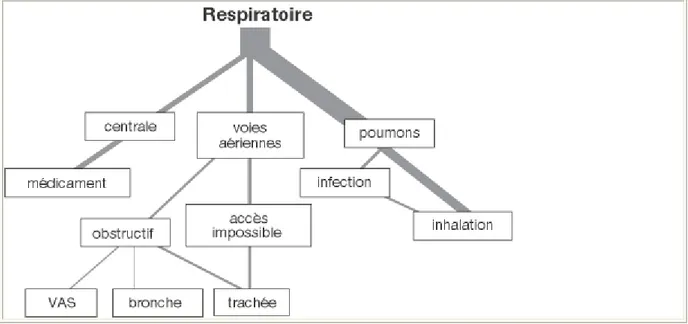 Figure 7. Principaux mécanismes de décès de causes cardiaques dans les cas  d’imputabilité 2 ou 3 (l’épaisseur du trait représente le nombre de cas)