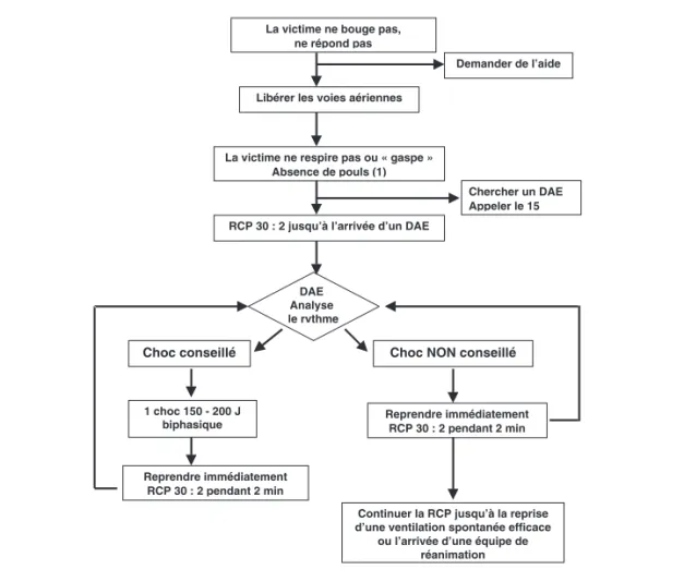 Figure 2 : algorithme de la défibrillation automatisée externe