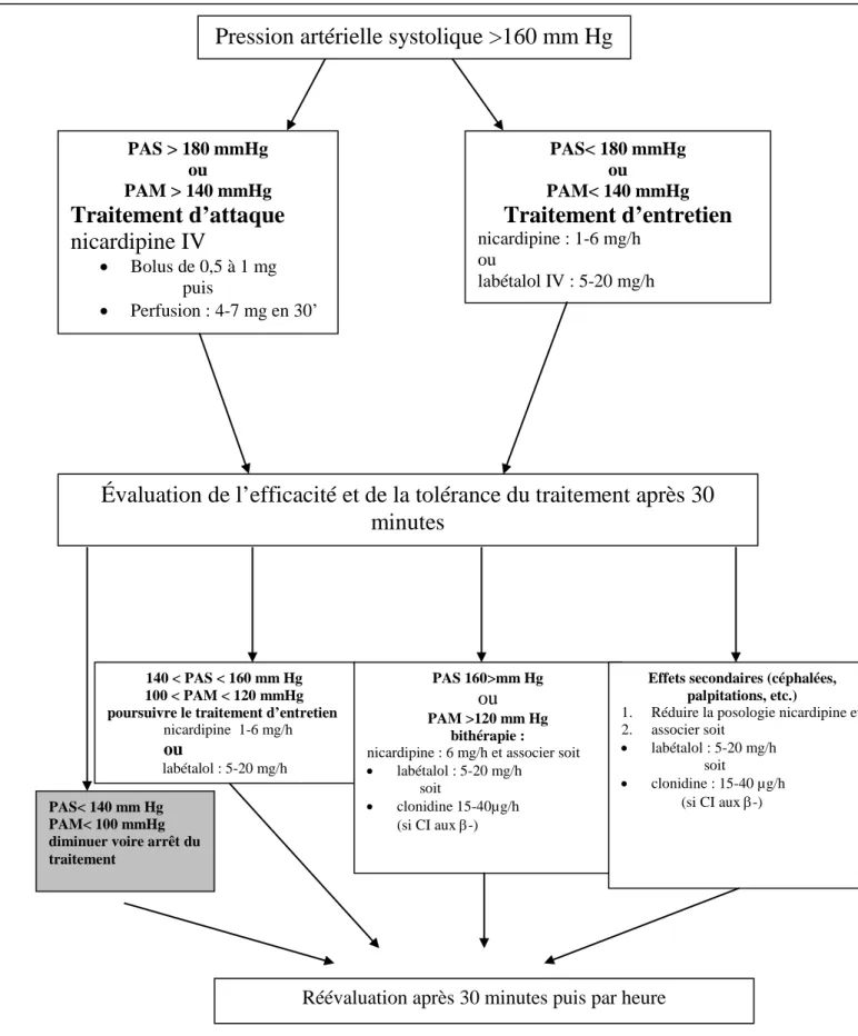 Figure 1 : Algorithme de prescription du traitement antihypertenseur  