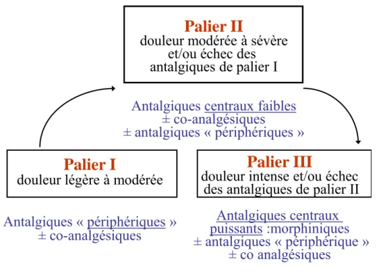 Figure 1.-  Classification des antalgiques en trois paliers. D’après la classification de l’Organisation mondiale de  la santé (OMS)
