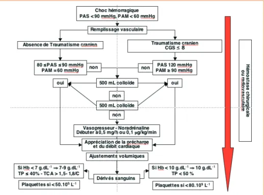 Figure 1 –  D’après  (39) . Algorithme décisionnel de prise en charge d’un choc  hémorragique à la phase initiale