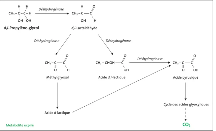 Fig 1. Métabolisme du propylène-glycol