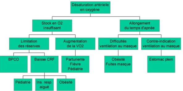 Fig. 2. Me´canisme d’apparition d’une de´saturation arte´rielle en oxyge`ne pendant l’induction anesthe´sique.