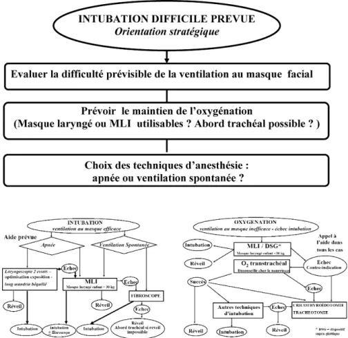 Fig. 1. Algorithmes de l’intubation difficile pre´vue (un ge´ne´ral « chapeautant » l’algorithme de l’intubation et celui de l’oxyge´nation).MLI : masque larynge´ pour l’intubation.DSG : dispositif supra-glottique.