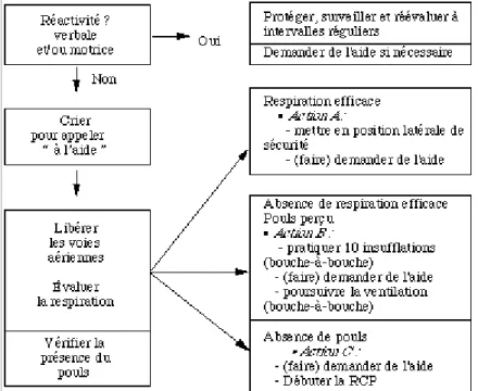 Tableau I.- Prise en charge initiale d'un AC (adaptée d'après les recommandations de  l'European Resuscitation Council) [2]