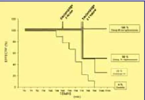 Figure 1. Comparaison de la survie dans  les différents groupes.