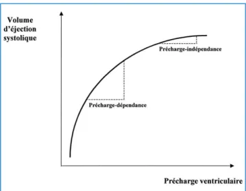 Fig. 1 . Relation de Frank-Starling.