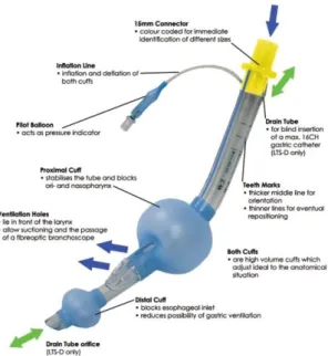 Figure 4 : Laryngeal Tube Suction D ® .