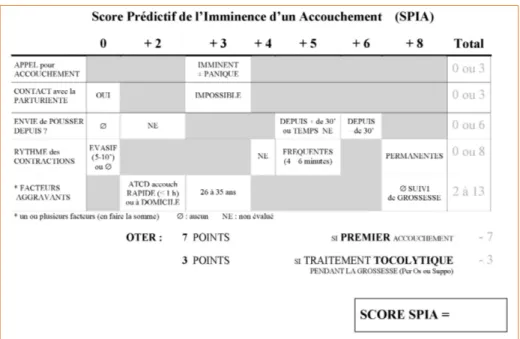 Figure 4 –  Tableau de calcul du score SPIA