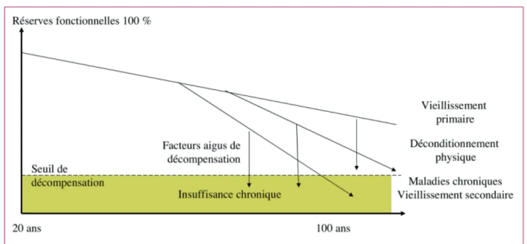 Figure 1 –  Les composantes du vieillissement (d’après P. Jouanny)