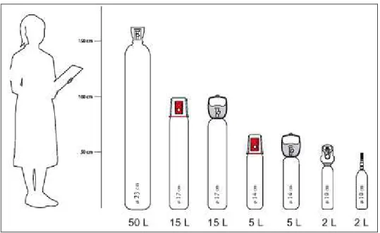 Figure 1. Poids et taille comparés des principales capacités de bouteilles 
