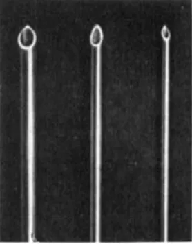 Fig.  8.  Saturiil  size.  The  middle  needle  permits,  with  the  technique  described,  the  insertion  of  a  catheter  (in this  case  No