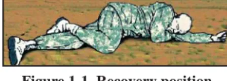 Figure 1-1. Recovery position