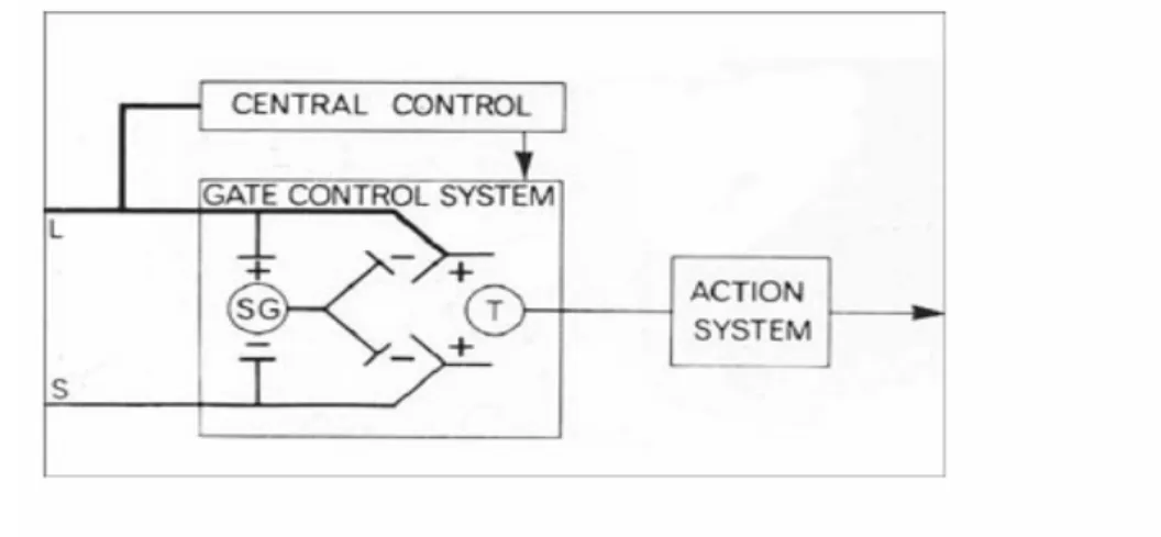 Figure 7: The gate control. Melzac R, Wall P.Pains mechanisms: a new theory. Science     (1965) 
