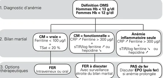 Figure 1  : Proposition d’algorithme pour le diagnostic (et le traitement) de la  carence martiale en réanimation