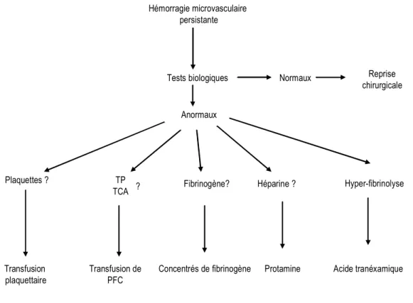 Figure 1 : stratégie d’exploration biologique devant un saignement microvasculaire persistant 