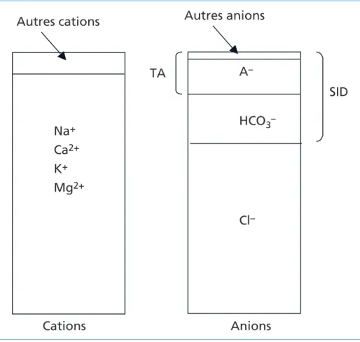 Tableau 2 –  Causes des variations quantitatives du trou anionique plasmatique 