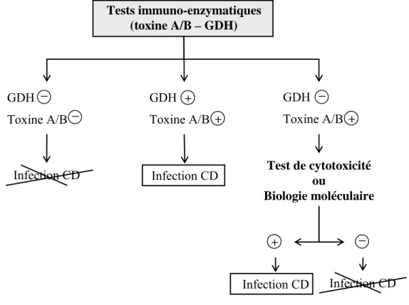 Figure 3. Stratégie du diagnostic biologique d’infection à Clostridum difficile.  Tests immuno-enzymatiques (toxine A/B – GDH) GDH Toxine A/B_ _ GDH Toxine A/B+ + GDH Toxine A/B +_ Test de cytotoxicité ou Biologie moléculaire + _Infection CDInfection CD In