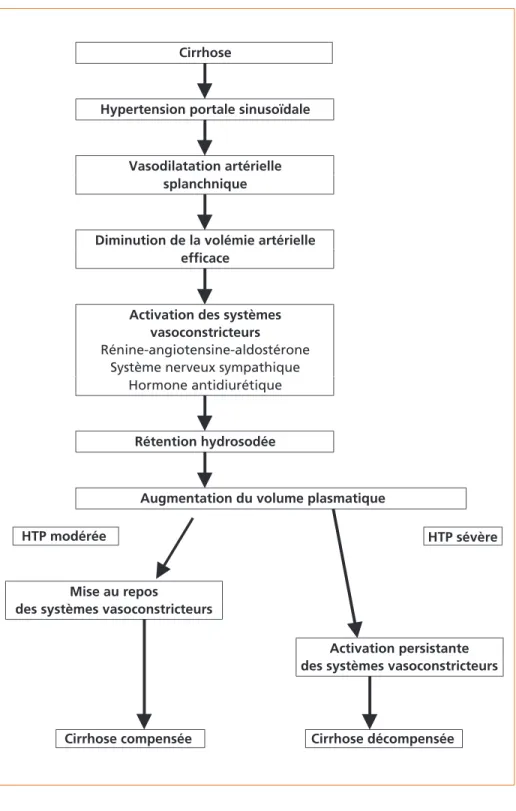 Figure 3 –  Dysfonction rénale dans la cirrhose. Théorie actuelle de la vasodilation 