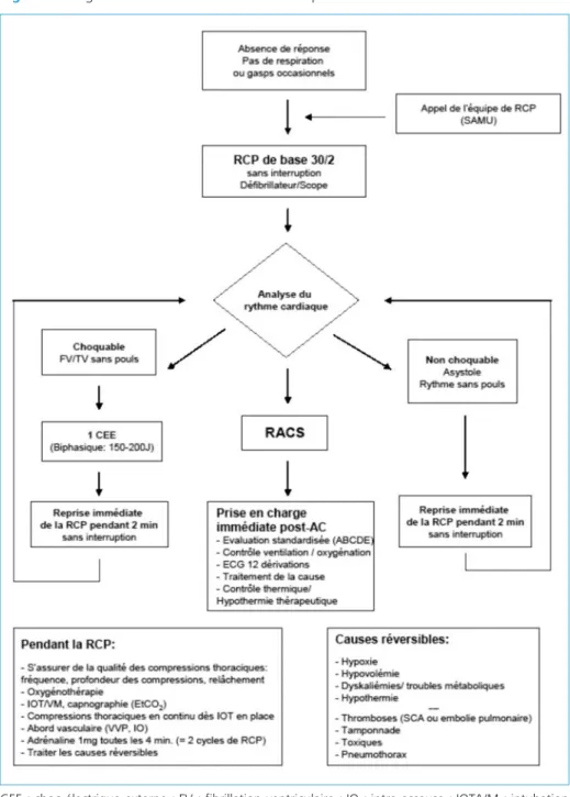 Figure 1 –  Algorithme de la RCP médicalisée adapté des recommandations 2010 de l’ERC