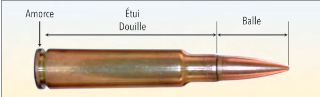 Figure 1 –   Schéma d’une cartouche 
