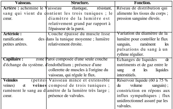 Tableau 16.1 . La structure et la fonction des vaisseaux. 